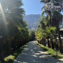 фото из отзыва ID 2650460