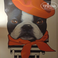 фото из отзыва ID 2650474