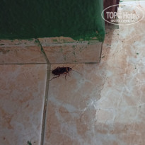 фото из отзыва ID 2650478