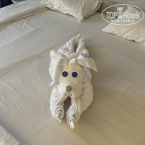 фото из отзыва ID 2650485