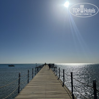 фото из отзыва ID 2650485