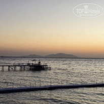 фото из отзыва ID 2650509