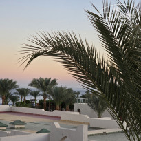 фото из отзыва ID 2650509