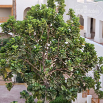 фото из отзыва ID 2650509