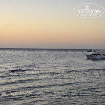 фото из отзыва ID 2650509