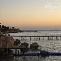 фото из отзыва ID 2650509