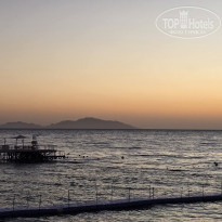 фото из отзыва ID 2650509