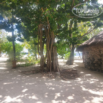 фото из отзыва ID 2650550