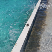 фото из отзыва ID 2650550