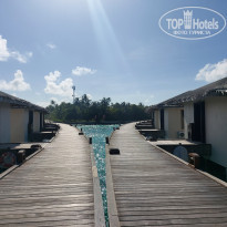 фото из отзыва ID 2650550