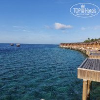 фото из отзыва ID 2650550