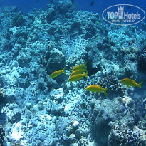 фото из отзыва ID 2650550