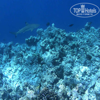 фото из отзыва ID 2650550