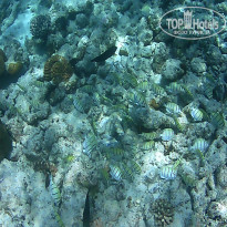 фото из отзыва ID 2650550