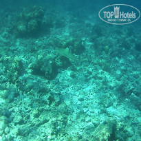 фото из отзыва ID 2650550