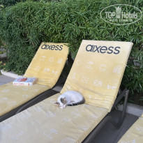 фото из отзыва ID 2650748