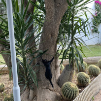 фото из отзыва ID 2650748