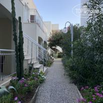 фото из отзыва ID 2650748