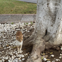 фото из отзыва ID 2650748