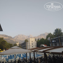 фото из отзыва ID 2650747