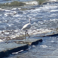 фото из отзыва ID 2650774