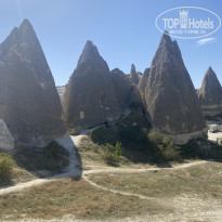 фото из отзыва ID 2650774