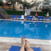 фото из отзыва ID 2650774