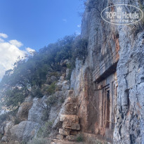 фото из отзыва ID 2650774