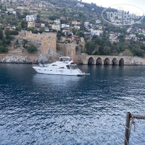 фото из отзыва ID 2650774