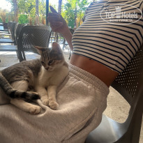 фото из отзыва ID 2650813