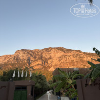 фото из отзыва ID 2650813