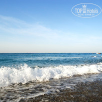 фото из отзыва ID 2650780