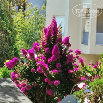 фото из отзыва ID 2650877