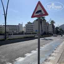 фото из отзыва ID 2650892