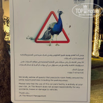 фото из отзыва ID 2650894