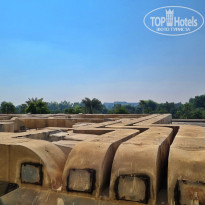 фото из отзыва ID 2650894