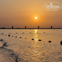 фото из отзыва ID 2650894