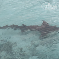 фото из отзыва ID 2650950