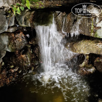 фото из отзыва ID 2650894