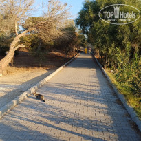 фото из отзыва ID 2651028