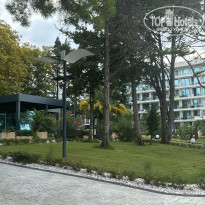 фото из отзыва ID 2651030