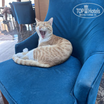 фото из отзыва ID 2651058