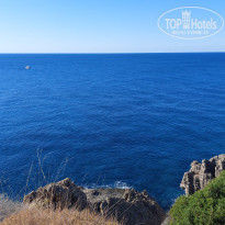 фото из отзыва ID 2651096