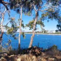 фото из отзыва ID 2651096