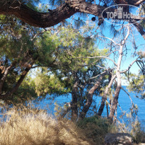 фото из отзыва ID 2651096