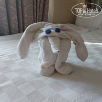 фото из отзыва ID 2651096