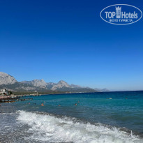 фото из отзыва ID 2651169