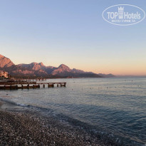 фото из отзыва ID 2651169