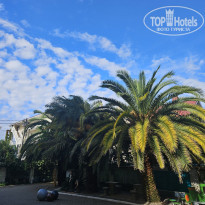 фото из отзыва ID 2651199