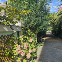 фото из отзыва ID 2651199